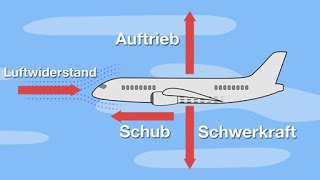 Auftrieb Warum fliegt ein Flugzeug  Schulfilm Sachkunde [upl. by Gone]