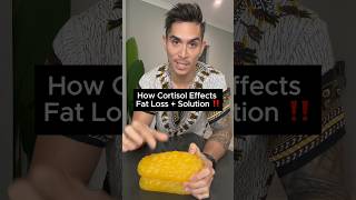 How Cortisol Effects Fat Loss  Solution ‼️ fatloss weightloss shorts [upl. by Fernande]