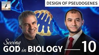 Pseudogenes are Junk Debunked  Seeing God in Biology  with Dr Fuz Rana [upl. by Ielerol647]