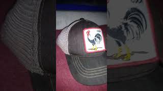 El gallo blanco musica regionalmexicano cover corridos todos gorras viralvideo videoshort [upl. by Thorley394]