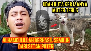 KISAH KUCING BUTA MONA YANG BERHASIL SEMBUH DARI KESURUPAN SETAN PUTER [upl. by Bellina]