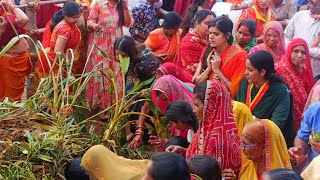 UdayGopal Bhaskar is live Rajsamand jila mukhyalay sthit Dwarkadhish Mandir mein Govardhan puja 2024 [upl. by Randi776]