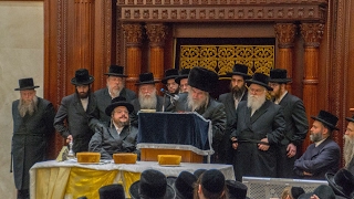 Conclusion Of Belzer Rebbes Historic Visit To London  May 2017 [upl. by Ladew342]