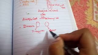 FATTY ACID SYNTHESIS in easiest way part 1introduction [upl. by Hagan893]