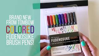 Honest Colored Tombow Fudenosuke Review  Amanda Arneill  Hand Lettering [upl. by Adnohsel]