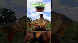 Berners HallBCAC Biggest Fish 34LB fishing carpfishingangling carper [upl. by Rosie]