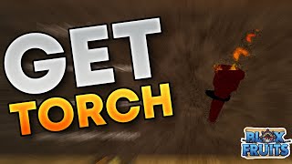 How To Get The Torch in Blox Fruits [upl. by Neeluj]