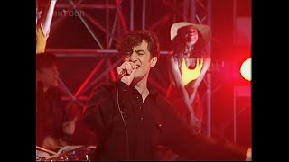 The Bluebells  Young At Heart  TOTP  1993 [upl. by Ecinerev]