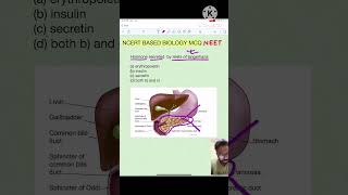 Ans3 islets of Langerhans  NCERT Biology MCQ neet biology medical neetmotivation mbbs doctor [upl. by Ponton]