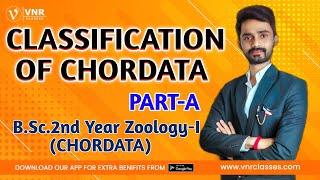 7 Classification of Chordata  Part1  2nd Year Zoology PaperI Chordata  Prahalad Sir [upl. by Yllaw258]