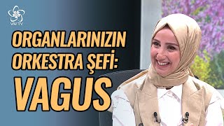 Bağırsakların Duygularla İlişkisi Nedir  Kendini Bilmek Vav TV [upl. by Aidni]