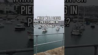 What will I catch Pier Fishing in Penzance Cornwall catchandrelease fishing pierfishing [upl. by Vaas]