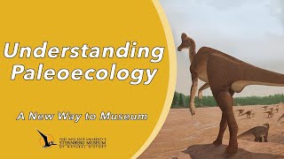 Understanding Paleoecology  A New Way to Museum [upl. by Ahsirk]