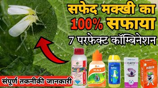 Whitefly Control top 7 best insecticide combinations सफेद मक्खी का 100 सफाया white fly control [upl. by Siri]