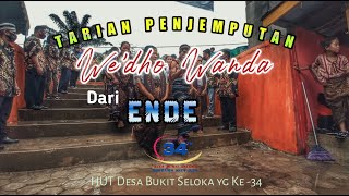 TARIAN PENYAMBUTAN WEDHO WANDA DARI ADAT ENDE [upl. by Ameehs]