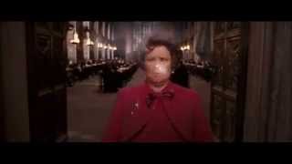 Fred et George Weasley Feux dArtifices Harry Potter et Lordre du Phénix HD [upl. by Anaugal]