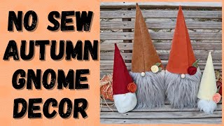 How to Make No Sew Fall Gnomes [upl. by Leirbma]