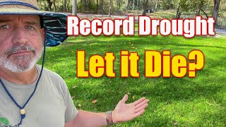 Record Drought Lawn Care What Next [upl. by Ahsiral415]