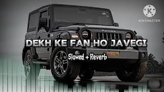 Dekh Ke Fan Ho Javegi Slow and reverb sond kale kagj song [upl. by Marillin803]