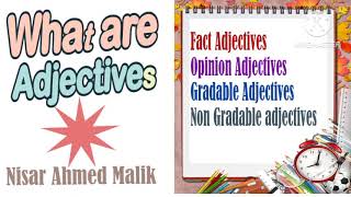 Learn Adjectives  Fact Opinion Gradable Non Gradable Adjectives  Learn English Grammar [upl. by Song]