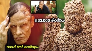 Vikram recent Blockbuster Movie Honey bee Scene  Telugu Movies  Cinema House [upl. by Neilla629]