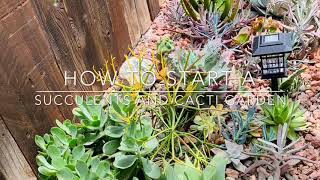 How to Start a Succulents and Cacti Garden from Scratch [upl. by Zilvia]