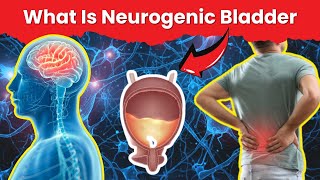 What is Neurogenic Bladder Causes and Symptoms [upl. by Yolanthe814]