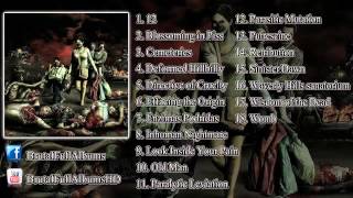 Brutal Full Albums  Brutal Death Metal amp Slamming Brutal Death Metal COMPILATION 2013HD [upl. by Ayenet566]