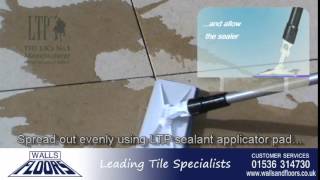 How To Fix And Seal Limestone Tiles [upl. by Lidaa691]