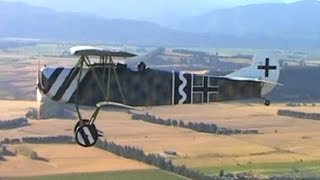 Fokker DVII  WW1 German fighter 1918 [upl. by Garlinda]