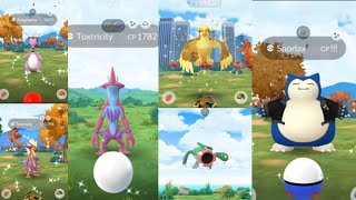 Shiny compilation in Pokemon Go  Wild Area [upl. by Dominga]