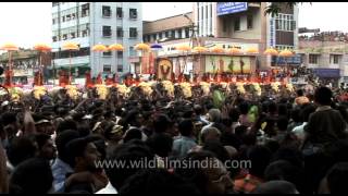 Display of artistic umbrellas at Thrissur Pooram festival [upl. by Genia]