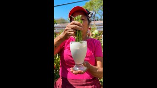 EL mejor CICATRIZANTE Y ENRAIZANTE para tus plantas LA CAL  ENRAIZANTE casero para CACTUS y FLORES [upl. by Hadden]