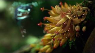 SAMSUNG LeD TV amazing commercial HD [upl. by Lucky380]