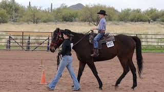 Class 15  Pattern Class  Scottsdale Saddle Club  February Horse Show [upl. by Mariandi]