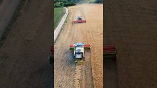 żniwa2024 short shorts harvester rolnictwo agriculture harvest rolnik oporowo claasaxion [upl. by Kaile]