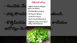 కొత్తిమీరతో ఆరోగ్యం Health Benefits of coriandercoriander leaves benefits telugutipsshorts [upl. by Coady]