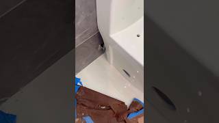 Toilet installation nightmare bad [upl. by Aisyram]