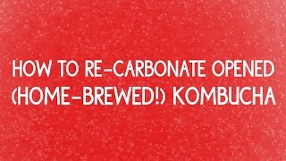 Kombucha Tip Recarbonating Your Opened Homebrewed Kombucha [upl. by Rolfe]