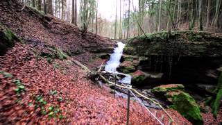 Altdorf bei Nürnberg  Natur Umgebung [upl. by Vogele]