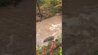 soap creek after November rain chattahoocheeriver [upl. by Ecienal864]