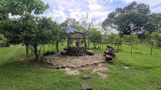 FreLuz Farm San Miguel Bulacan [upl. by Aneeuqal]