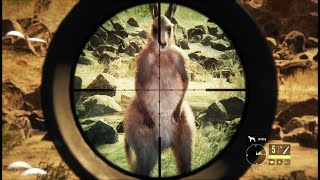 10 Jagderfolge bei TheHunter Call of the Wild Känguru Action [upl. by Sheedy]