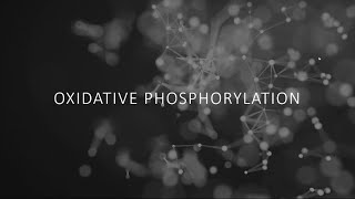 Biochemistry  Oxidative phosphorylation [upl. by Urba]