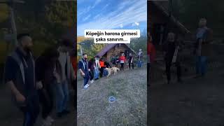 Köpeğin horona girmesi şaka mı [upl. by Hey]