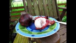 Mangosteen Tasting  Tropical Fruit [upl. by Madel]