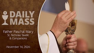 Catholic Daily Mass  Daily TV Mass  November 14 2024 [upl. by Anyel]