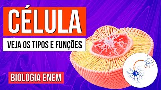 CÉLULA O que é Funções Tipos e Estrutura básica das Células  Biologia Enem Profe Claudia Aguiar [upl. by Nosdivad]