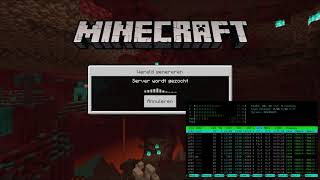 Minecraft server  Raspberry Pi 4 Performance test  vliegen [upl. by Notseh873]