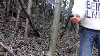 ontario 18inch machete bamboo cut test [upl. by Goat]